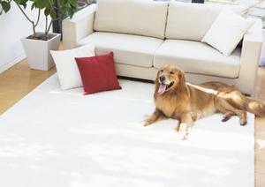 傷みを知ることができる耐震補強