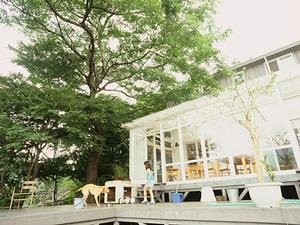 都城市で理想の住まいを見つけるための完全ガイド：交通アクセス・教育環境・自然環境を徹底解説